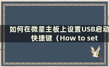 如何在微星主板上设置USB启动快捷键（How to set the USB boot Installation on the MSI主板）